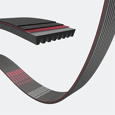 Poly-v rem PJ profil_multi-v rem belt.jpg_1