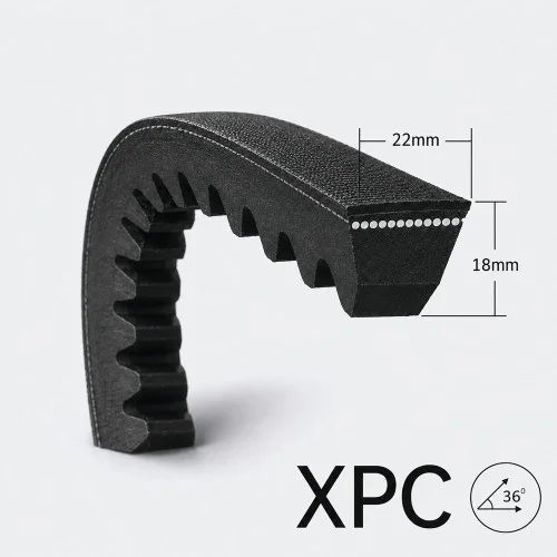 XPC kilerem V-belt concar
